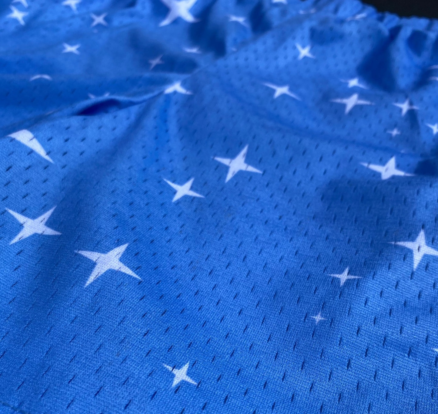 Starry Mesh Shorts